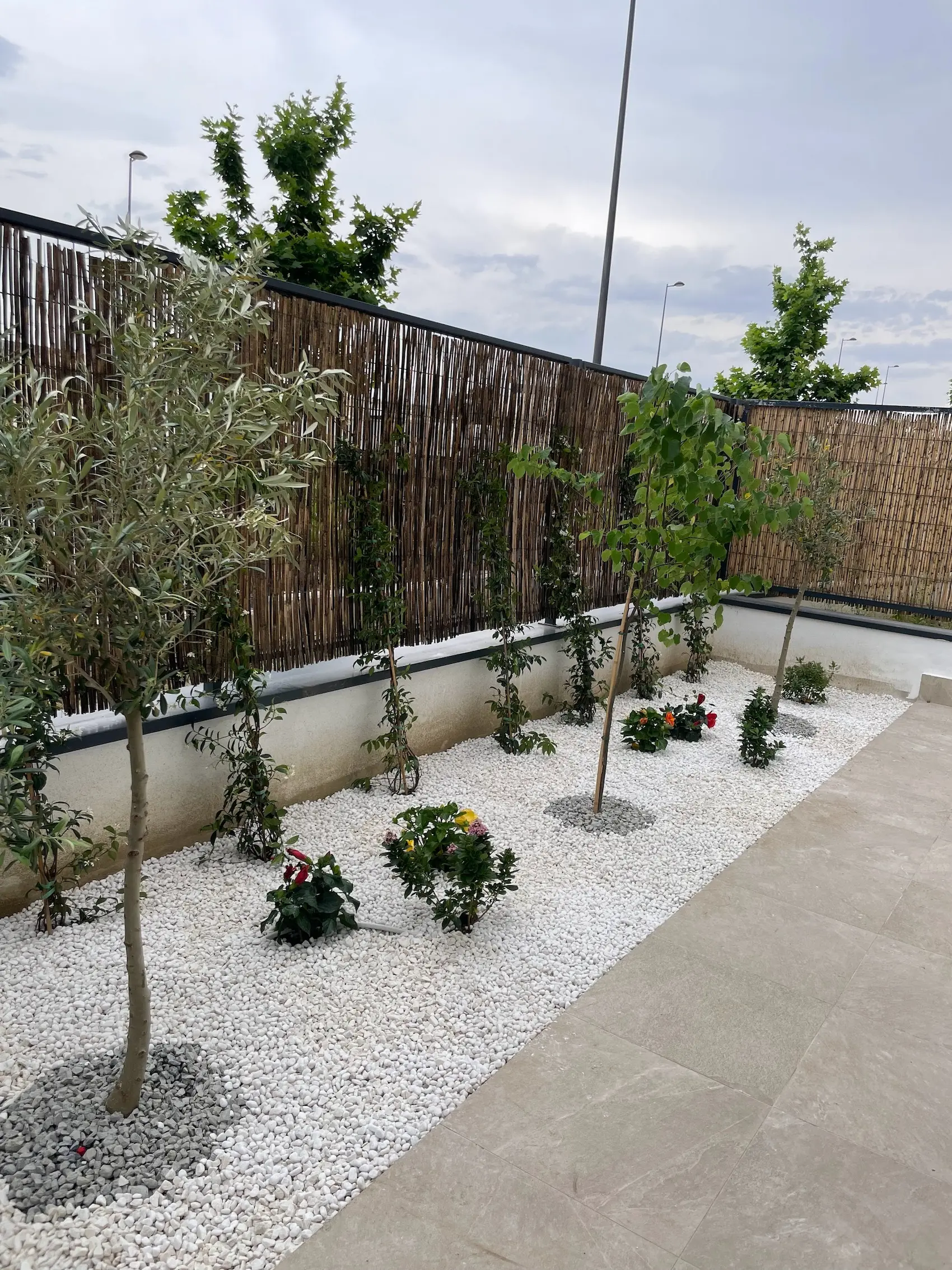 Creación y renovación de jardines 6